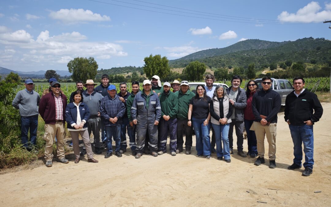 Capacitación en riego fortalece el capital humano agrícola en Casablanca y San Antonio para una gestión hídrica más eficiente